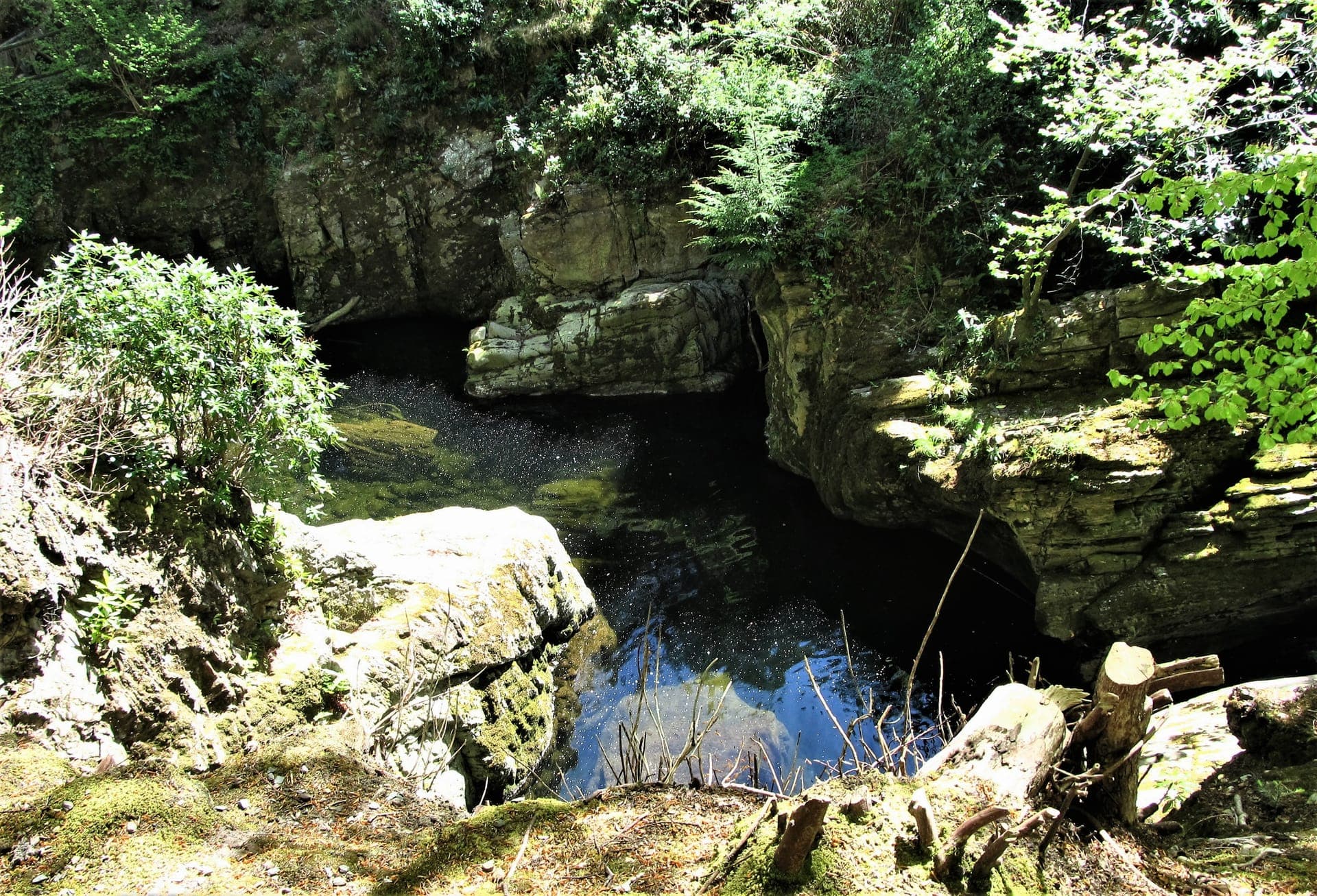 Vibrant wildflowers blooming across Mourne hillsides with waterfalls in the distance