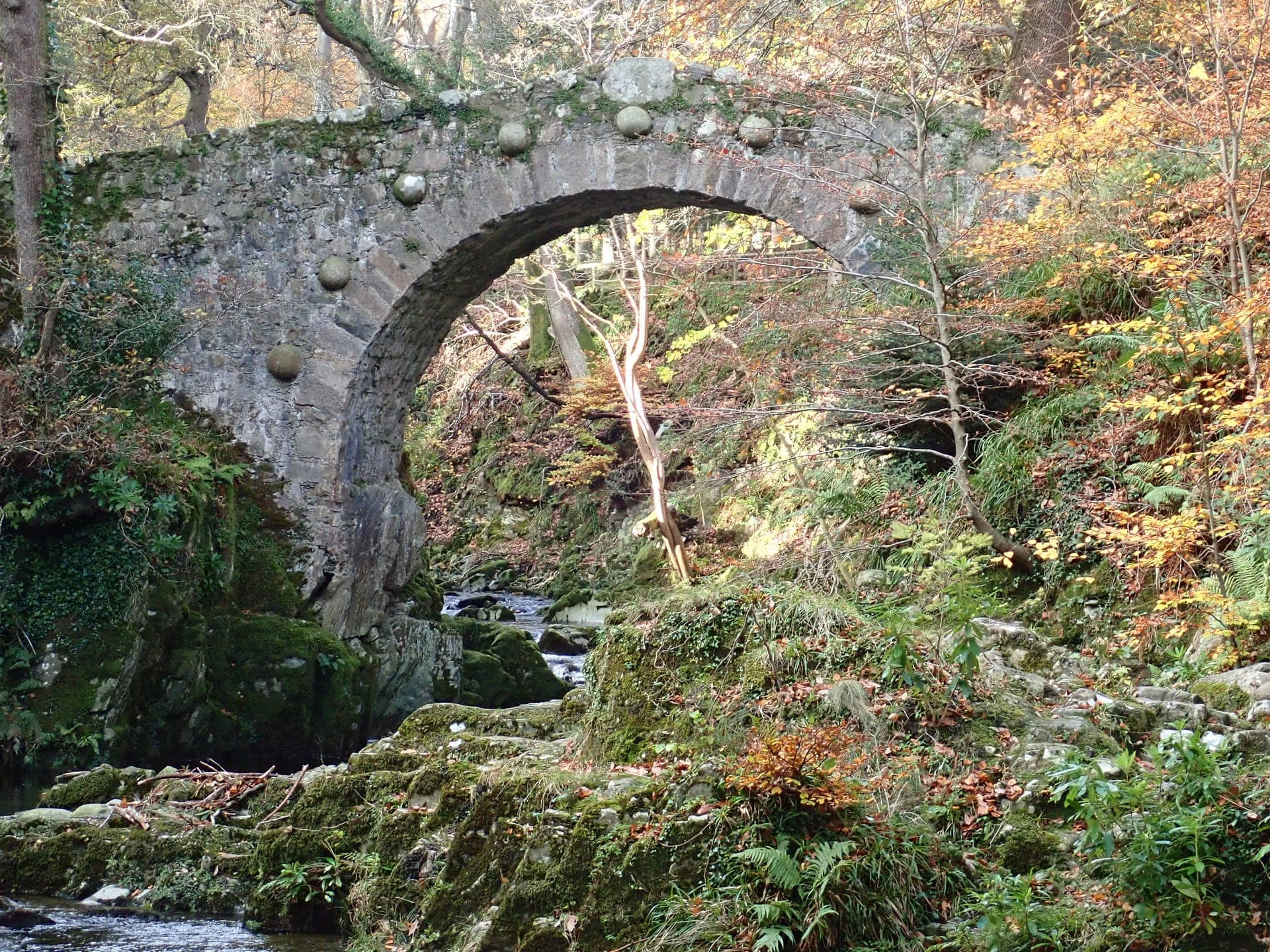Foley's Bridge spanning the Shimna River in Tollymore Forest Park